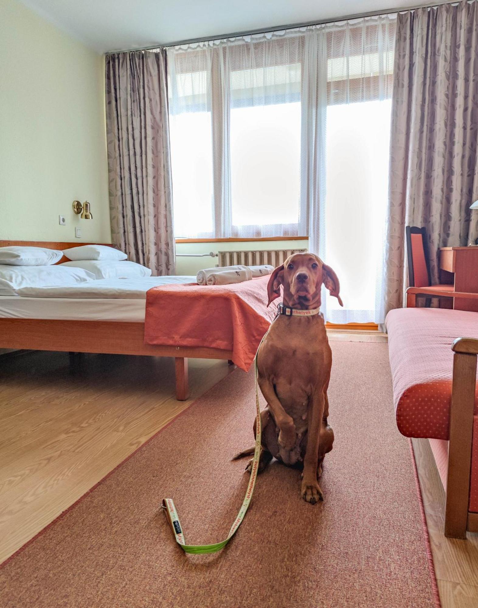 Apartman Hotel Hotel 3*