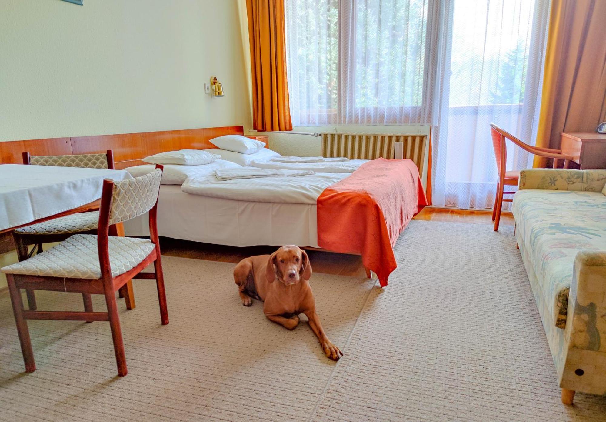 Apartman Hotel 3* Bük