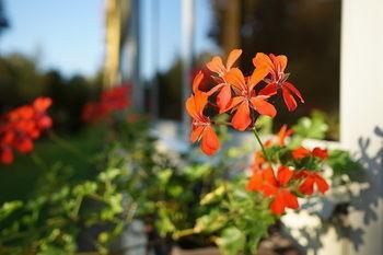 Apartman Hotel Бюк